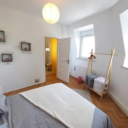 Apartment Superb 80 M Duplex In Ideal Location Mulhouse