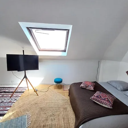 Superb 80 M Duplex In Ideal Location * Mulhouse