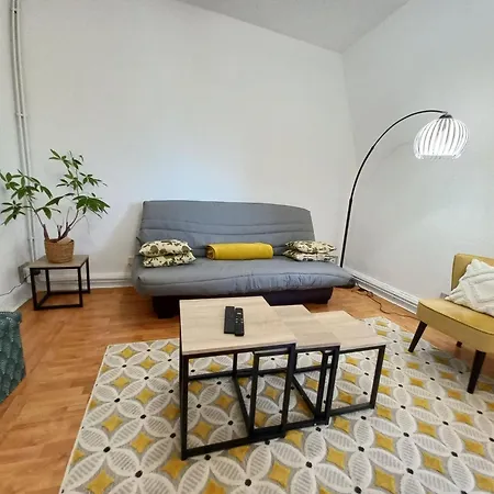 Apartment Superb 80 M Duplex In Ideal Location Mulhouse